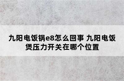 九阳电饭锅e8怎么回事 九阳电饭煲压力开关在哪个位置